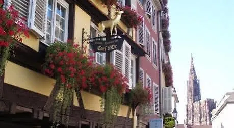 Hotels met jacuzzi in Straatsburg