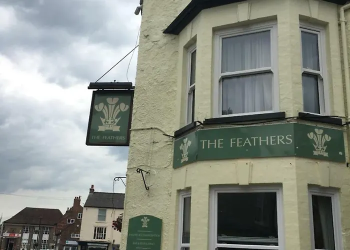 The Feathers