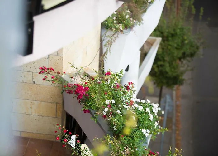 Semiramis Business Hotel