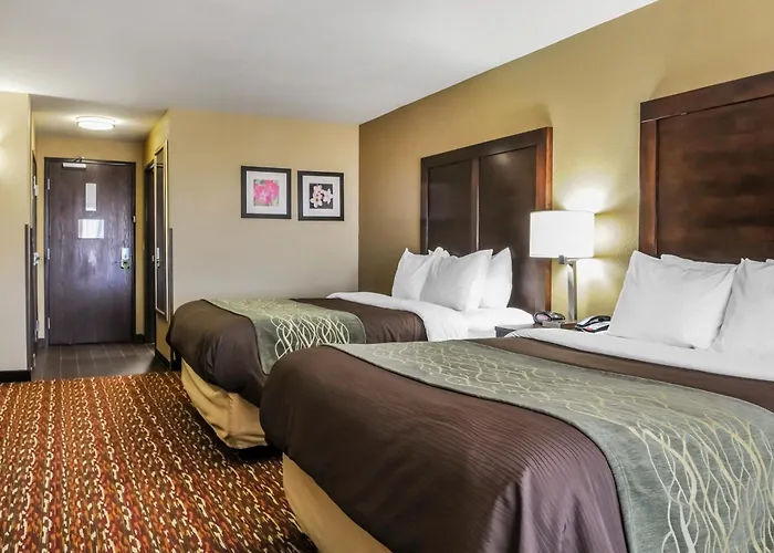 Comfort Inn & Suites Artesia