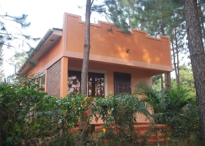 Saltek Forest Cottages