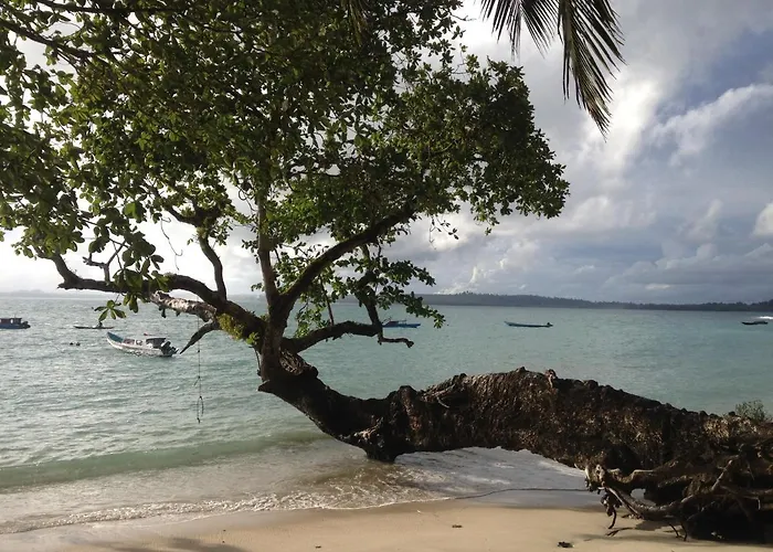 Masokut Surf Camp Siberut E"Bay 1 Minute Walking Beng-Beng 5 Minute Walking,Pitstop 10 Minute Walking Nipussy 1 Hour Walking Short Walking Only Minute Distances From Our Place