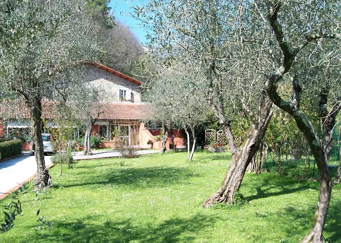 Gli Ulivi Bed&breakfast
