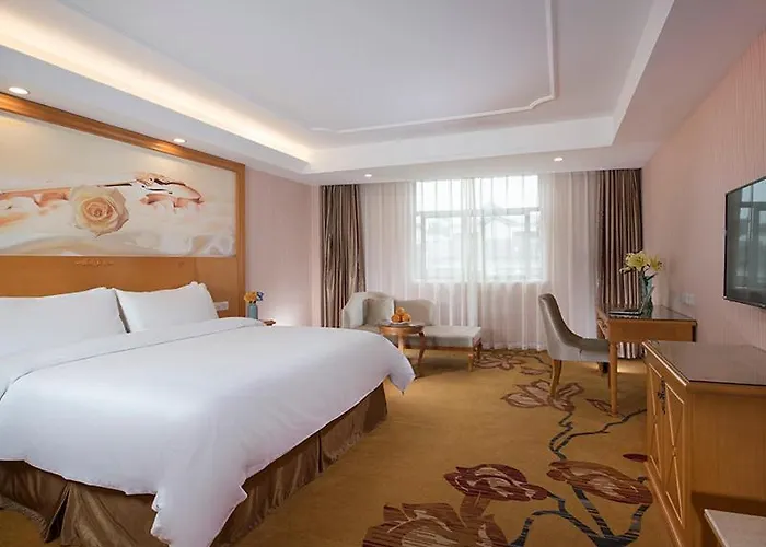 Vienna Hotel