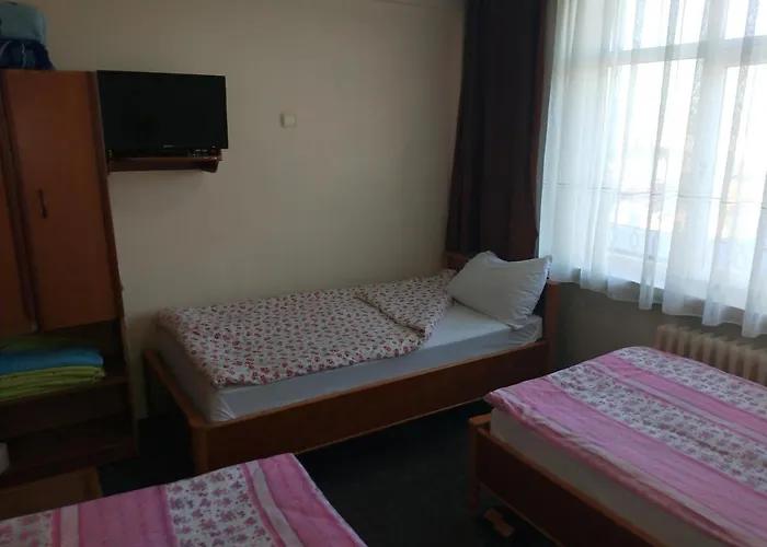 Otel Cinar