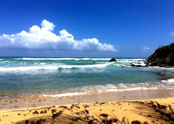 Tranquility By The Sea
