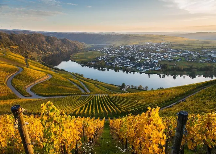 Hotel- Weingut- Moselloreley