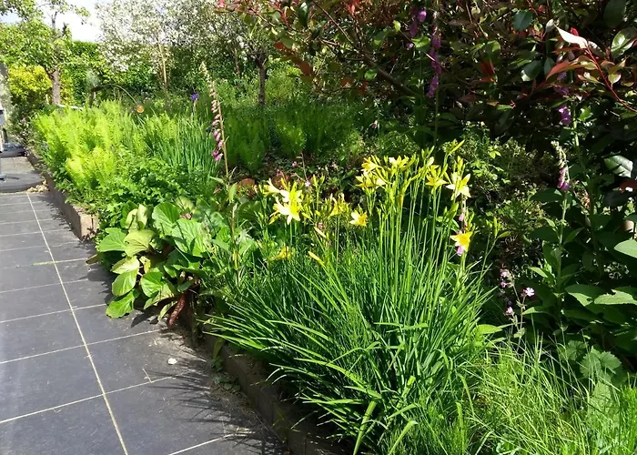 Pluimpapaver Hotel & Glamping