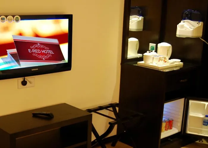 E-Red Hotel Alma Cosmo