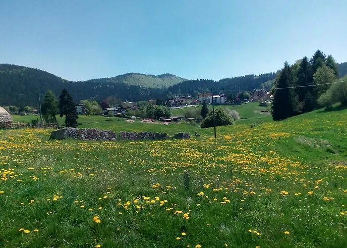 Hotel Belvedere