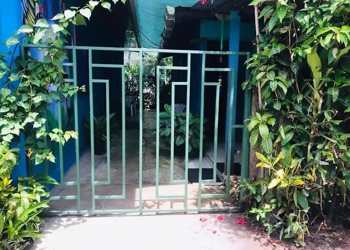 Green Macaw Hostel